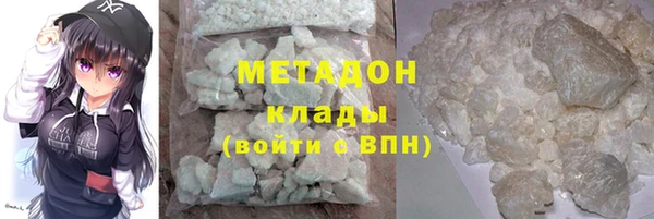 индика Алзамай