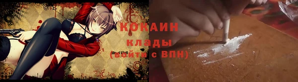 индика Алзамай