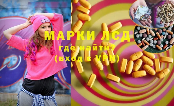 индика Алзамай