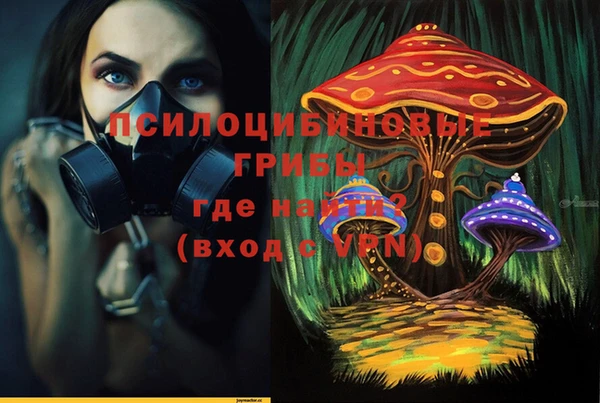 прущий лед Алексин