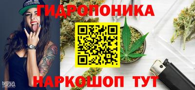 гашик Абакан