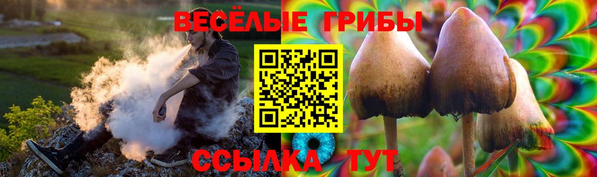 APVP СОЛЬ кристаллы  Марихуана  Экстази  Вход с VPN  Анжеро-Судженск  COCAIN  Меф МЯУ МЯУ кристаллы  Гашиш  Лсд 25 